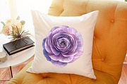Watercolor Ranunculus Clipart, an Illustration by Sublimation Artist (Thumbnail 6 of 6)