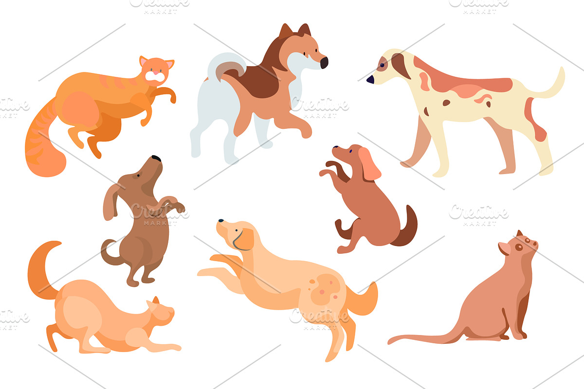 Dogs and Cats Pets Set, Kitten and, an Animal Illustration by TopVector