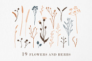 FOREST TREASURES big vector bundle, a Decorative Illustration by Lena Nikolaeva (Thumbnail 2 of 16)