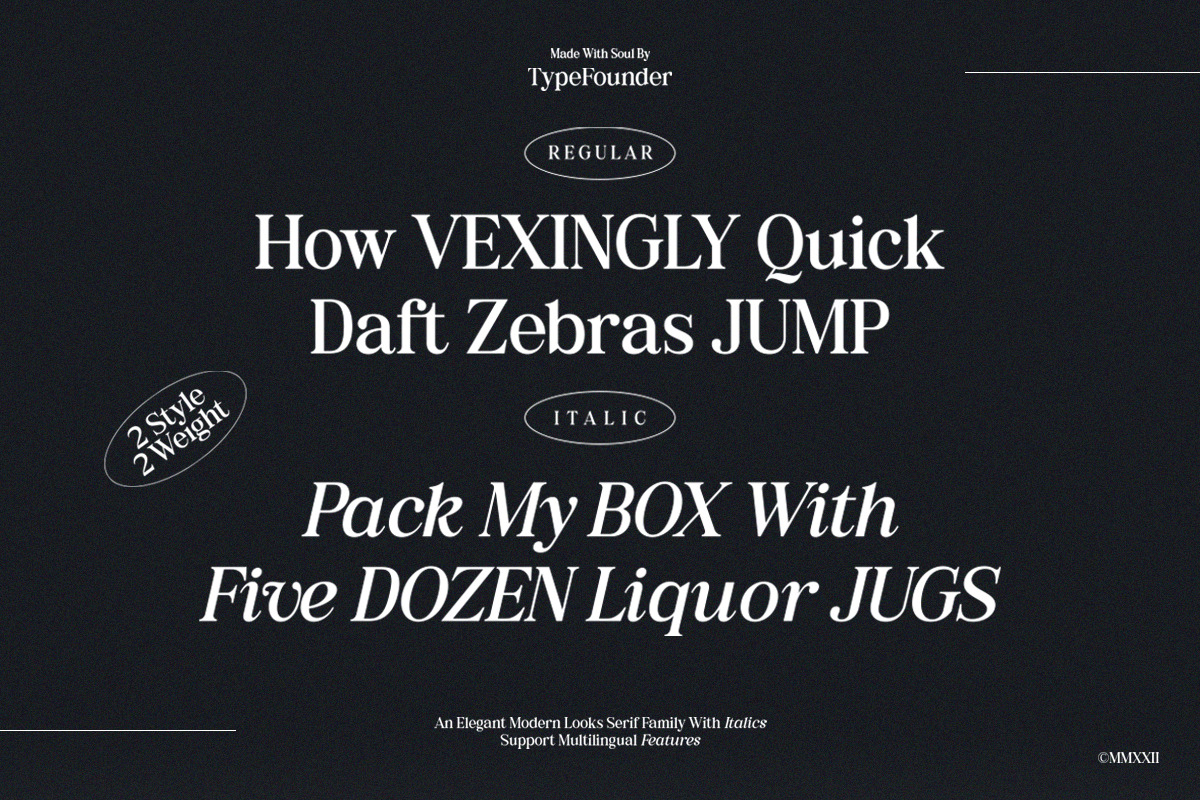 GirlfromNowhere - Nostalgic Serif, a Serif Font by TypeFounder (Photo 9 of 10)