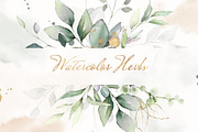 Green watercolor herbs, leaves, a Decorative Illustration by Lisima (Thumbnail 19 of 19)