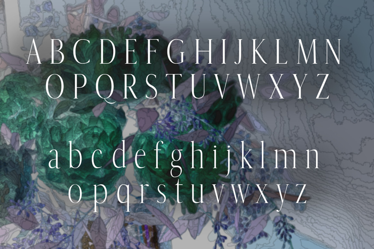 Wedding Display Font preview 2