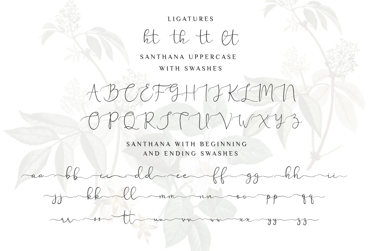 Santhana lovely script, a Script Font by Say Studio (Photo 9 of 10)