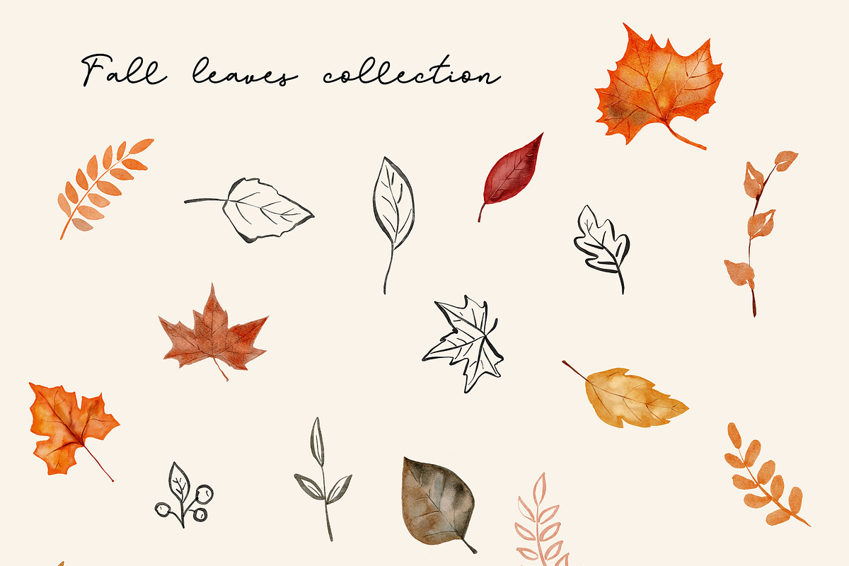 Fall/Autumn Essentials, a Food Illustration by Backyard Rose (Photo 6 of 10)