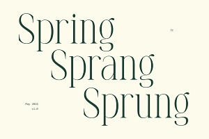 Brookleigh - Classy Serif Font