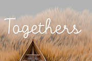 Mantra - lines stylish script font, a Script Font by Fontcastle (Thumbnail 5 of 5)