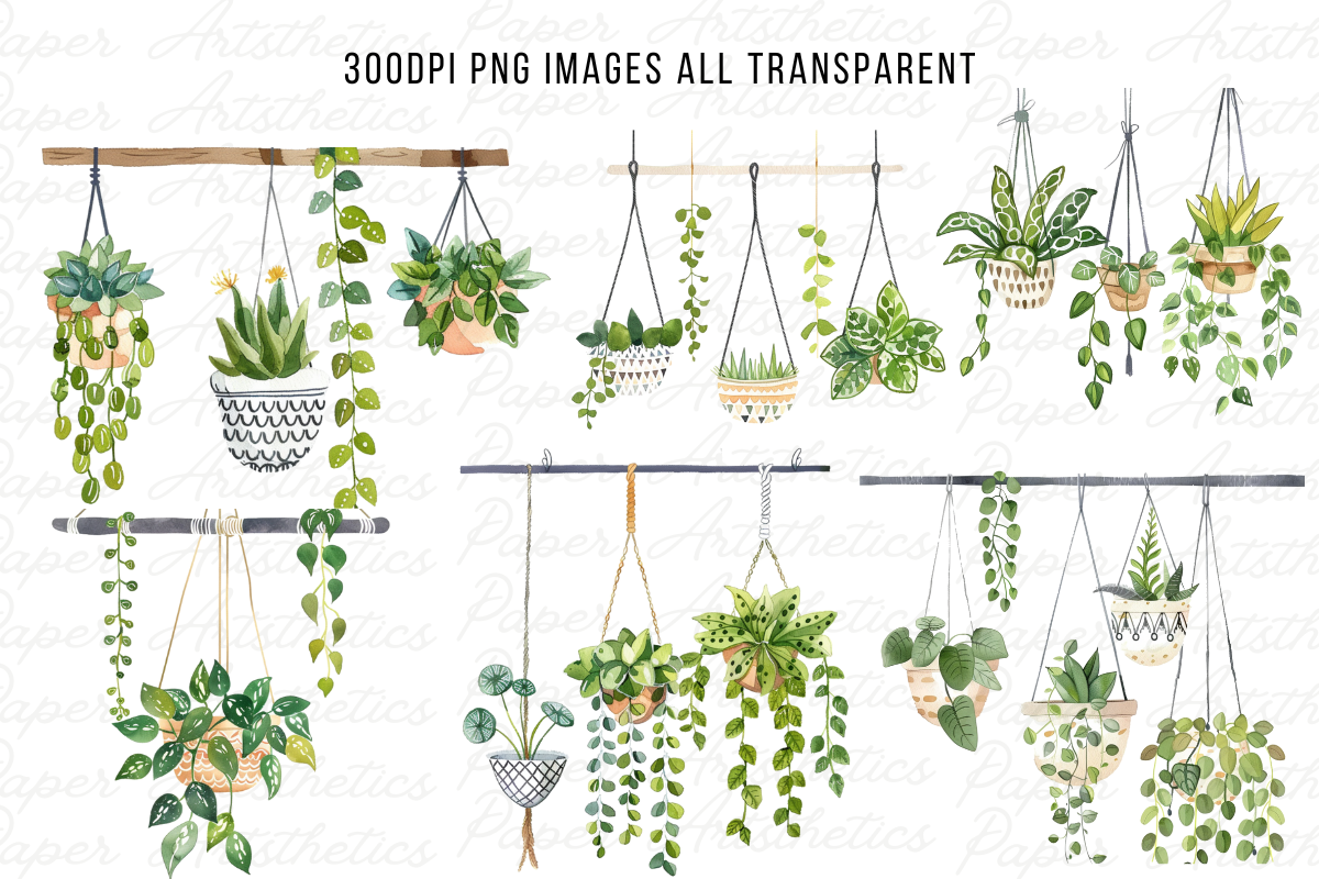 Hanging Plants Illustrations Png, a Decorative Illustration by Paper Artsthetics (Photo 2 of 6)