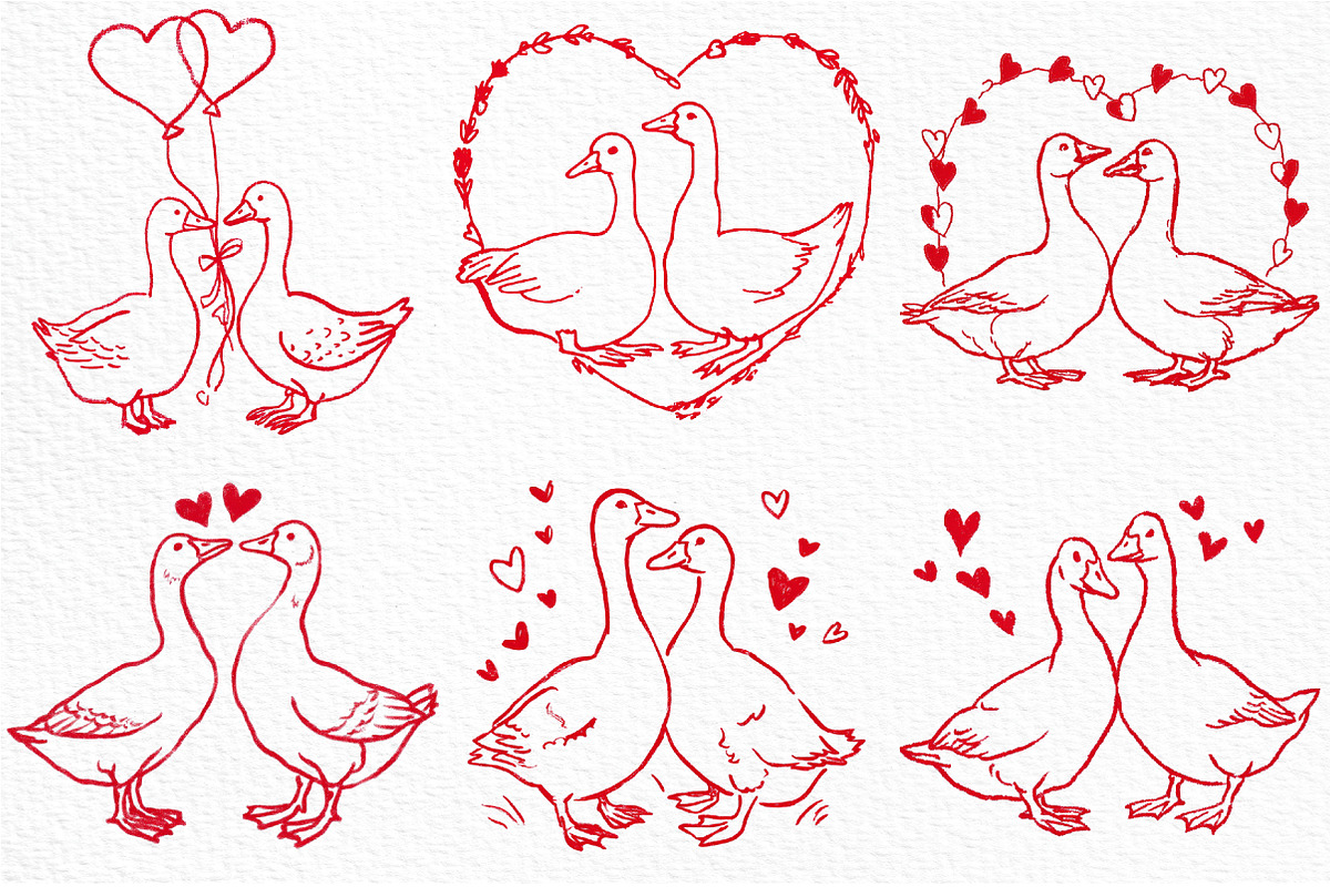 Valentines Goose Couple Hand-Drawn, an Illustration by Craft Nest (Photo 5 of 8)