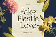 Raveny Modern Elegant Serif, a Serif Font by Vadovastd (Thumbnail 4 of 9)