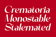 Black Mollta, a Serif Font by zaaintype (Thumbnail 6 of 11)