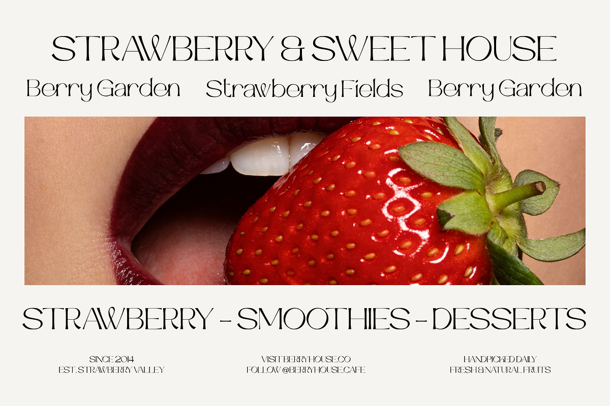 Chateau Luxury Modern Serif Font, a Serif Font by operatype.co (Photo 2 of 8)