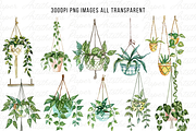 Hanging Plants Illustrations Png, a Decorative Illustration by Paper Artsthetics (Thumbnail 3 of 6)