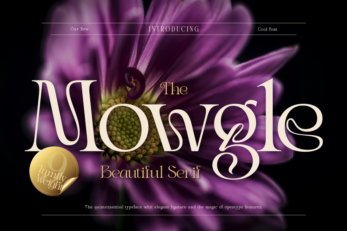 Mowgle, a Serif Font by Burntilldead (Photo 1 of 12)