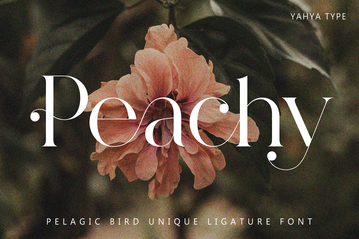 Pelagic Bird - Unique Ligature Font, a Serif Font by Yahya Type (Photo 6 of 22)