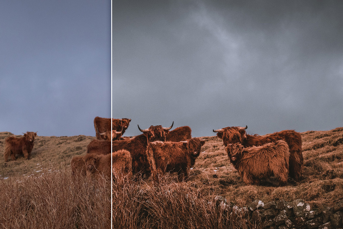LR Presets Bundle (Desktop & Mobile), an Action Add-On by PhotoMarket (Photo 21 of 36)