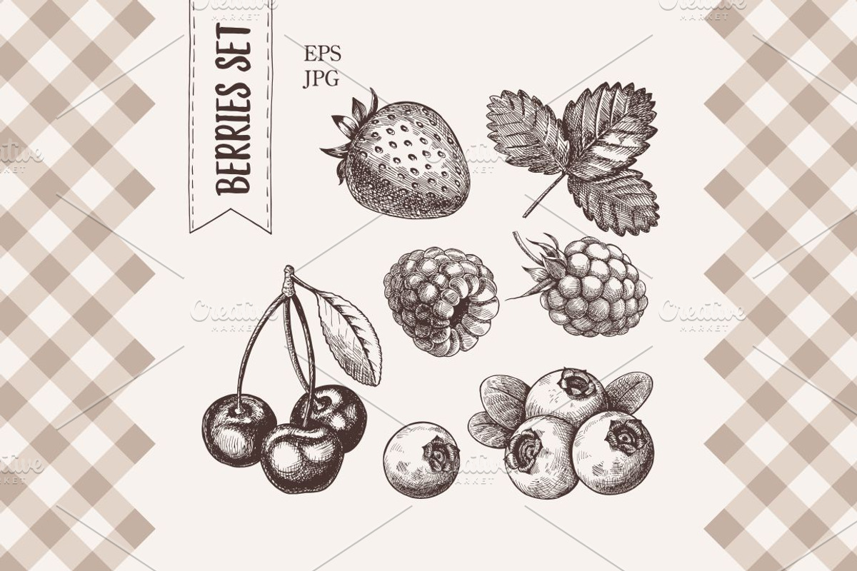 Vintage berry illustration., an Illustration by natadanko (Photo 1 of 3)