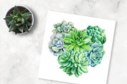 watercolor cacti and succulents, a Decorative Illustration by Hanna Hryharenka (Thumbnail 2 of 9)