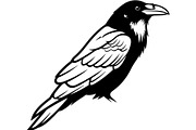 Bird Silhouettes Flying Sideways, an Animal Illustration by Designer_Momina (Thumbnail 21 of 21)