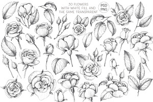 Sketched Roses, Frames, Patterns