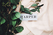 Kara & Co - Fashion Serif Font, a Serif Font by ParadiseStore (Thumbnail 2 of 5)