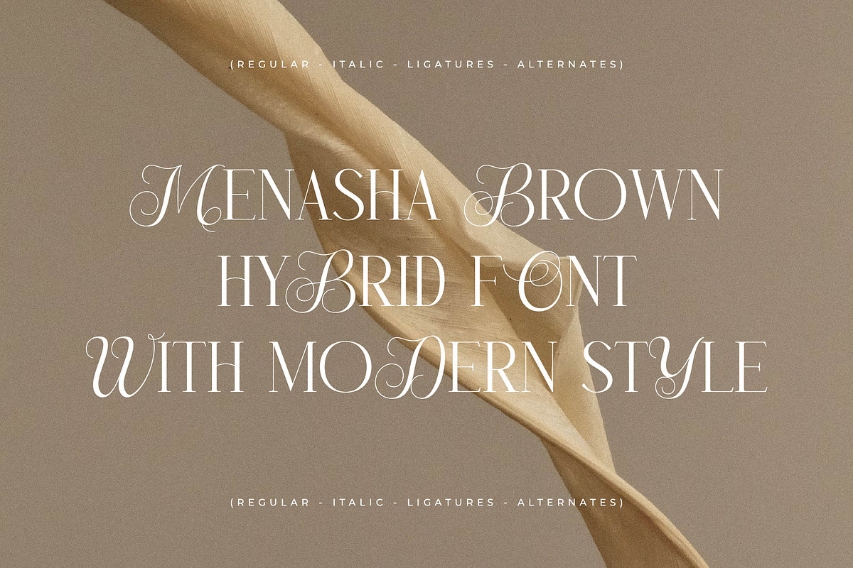 Menasha Brown New Hybrid Typeface, a Serif Font by Storytype Studio (Photo 9 of 15)