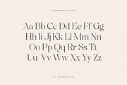 Unclare Serif Font Family (10 Fonts), a Serif Font by Heinzel Std (Thumbnail 16 of 19)