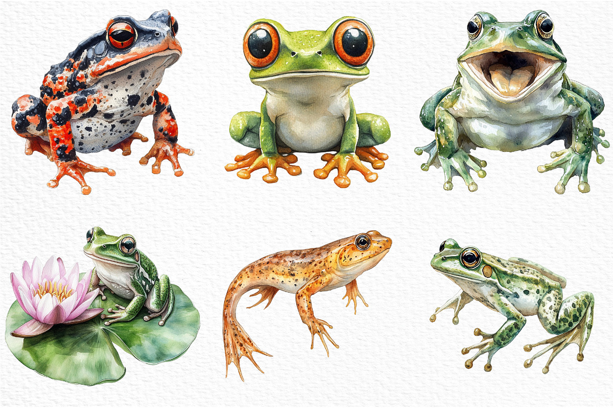Watercolor Amphibians Clipart, an Illustration by Craft Nest (Photo 5 of 6)