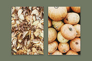 Lifestyle Bundles Collection 3, a Photo by Floral Deco (Thumbnail 45 of 48)