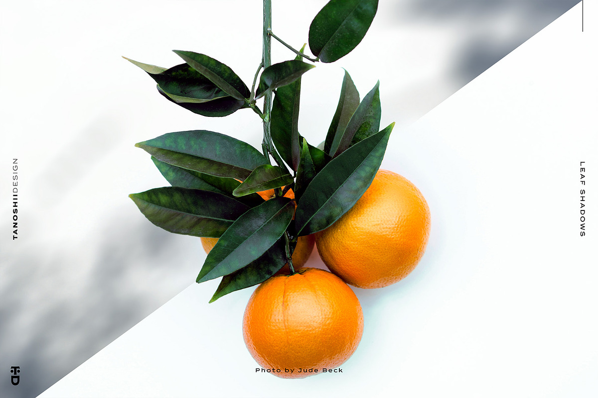 Leaf Shadows, a Templates & Theme by TANOSHII DESIGN (Photo 4 of 10)