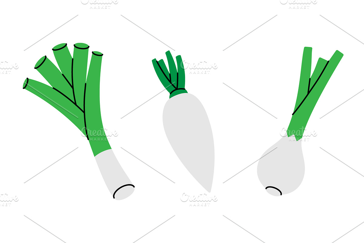 Spring onions, radish, onion. Fresh, an Object Illustration by GraphiShop