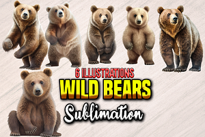 Wild Bears Sublimation - 6 PNGs