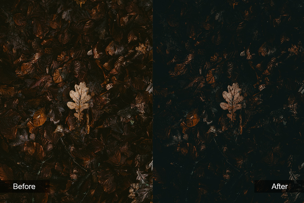 Dark Atmosphere Preset Pack, a Preset Add-On by MadeRed (Photo 6 of 11)