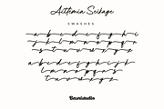 Aittemia Seikage a Handwritten Font, a Handwritten Font by Basnistudio (Thumbnail 11 of 12)