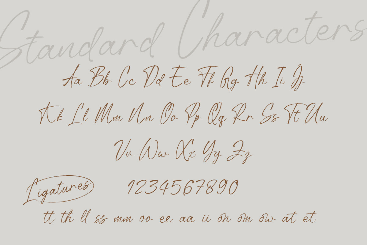 Anstally Script Font, a Script Font by Letterhend Studio (Photo 5 of 9)