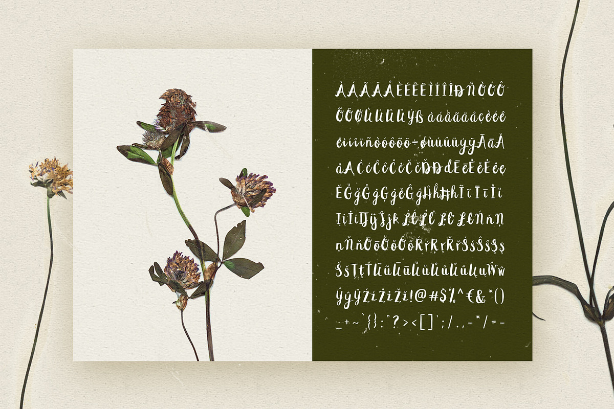 Peomy Extended Font & Illustrations, a Script Font by Wild Ones (Photo 2 of 13)