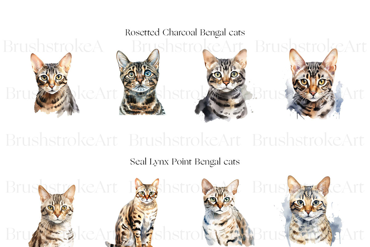 Cute Bengal Cat Clipart, Cute Cats, an Animal Illustration by BrushstrokeArtGB (Photo 4 of 10)