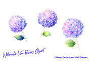 Watercolor Lilac Flowers Clipart, an Object Illustration by crafty (Thumbnail 2 of 5)