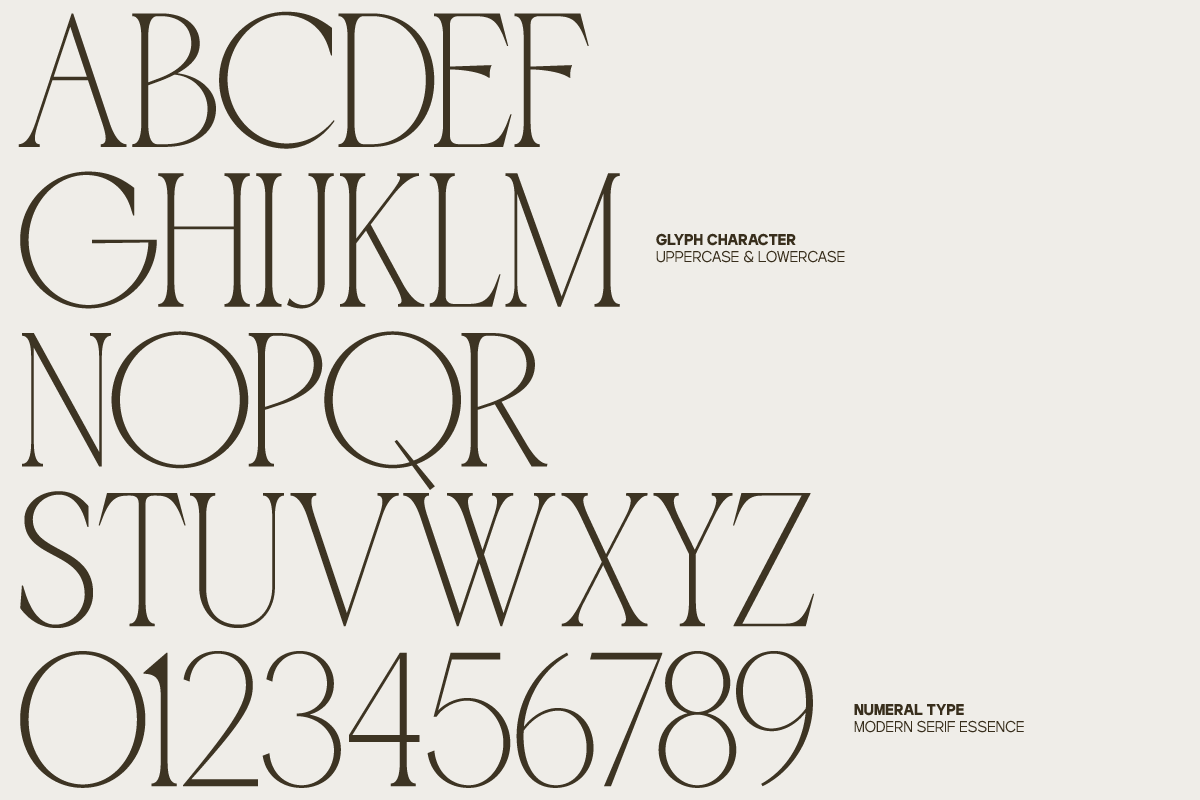 GC Ballerina - Stylish Serif Italic, a Serif Font by Glyphonic (Photo 2 of 15)