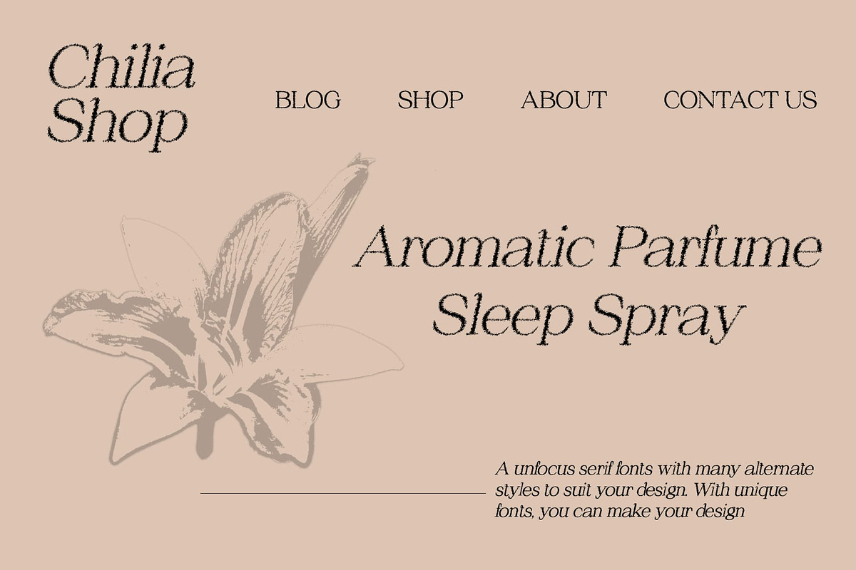 Chilia Unfocus, a Serif Font by Craft Supply Co. (Photo 5 of 8)