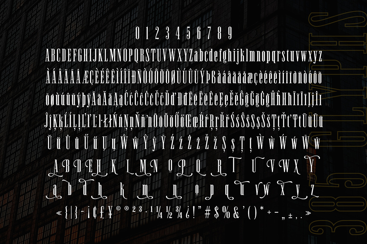Newston - Stylish Serif Font, a Serif Font by Arterfak Project (Photo 10 of 11)