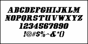 Modern West JNL, a Serif Font by Jeff Levine Fonts (Thumbnail 5 of 5)