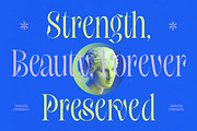 Hakons Serif Display Font, a Serif Font by timelesstype.co (Thumbnail 3 of 10)