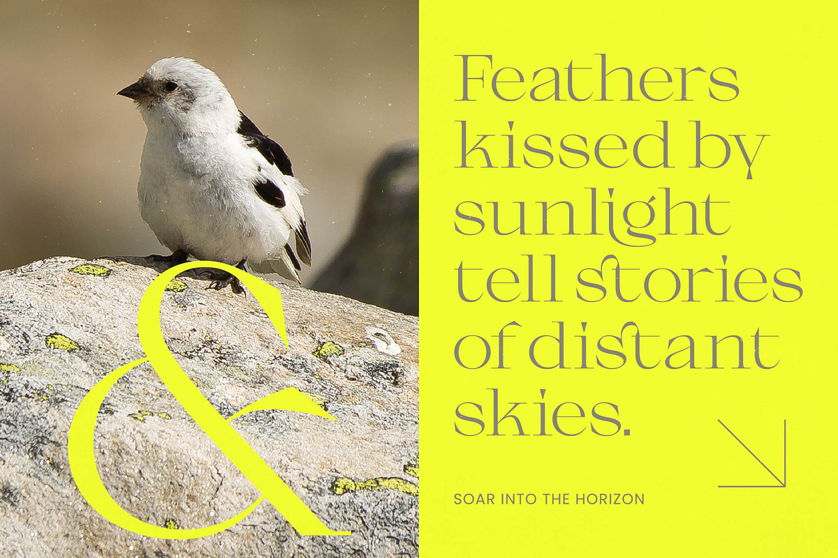 Gafloc Thin Serif Display, a Serif Font by timelesstype.co (Photo 7 of 15)