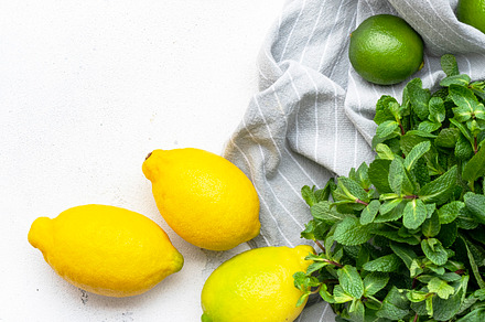 Fresh lemon, lime and mint leaves on white background, top view,, a Food & Drink Photo by 5PH