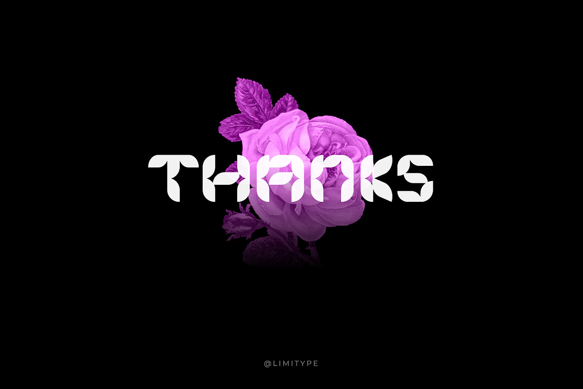 Florisa - Flowers font, a Font by limitype (Photo 8 of 8)