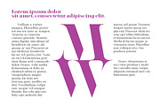 Factum font family, a Serif Font by Fontop (Thumbnail 7 of 12)
