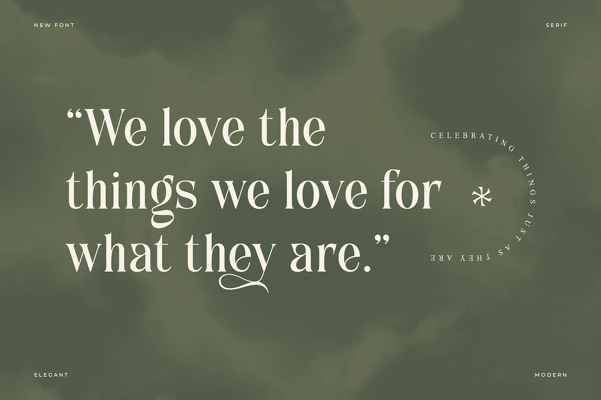 Anchika – Elegant Ligature Serif, a Serif Font by Almeera Std (Photo 4 of 10)