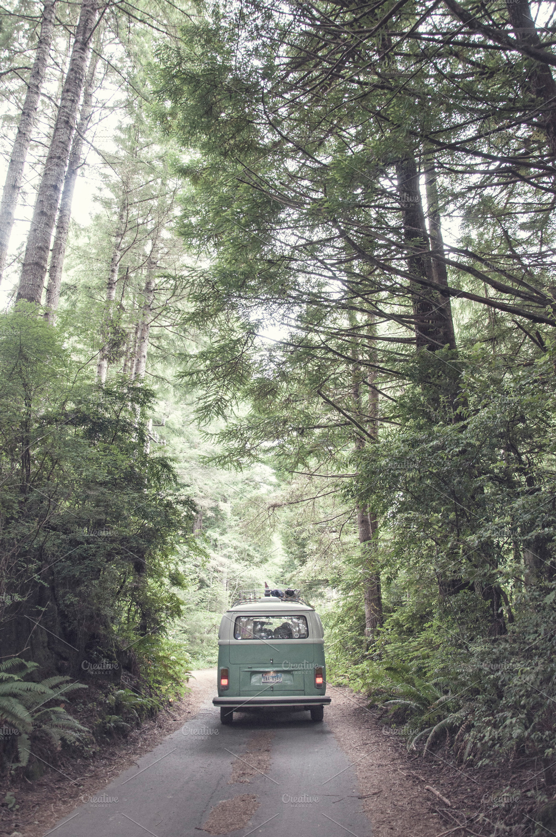 VW Bus Driving Through Woods, a Transportation Photo by Crux Creative