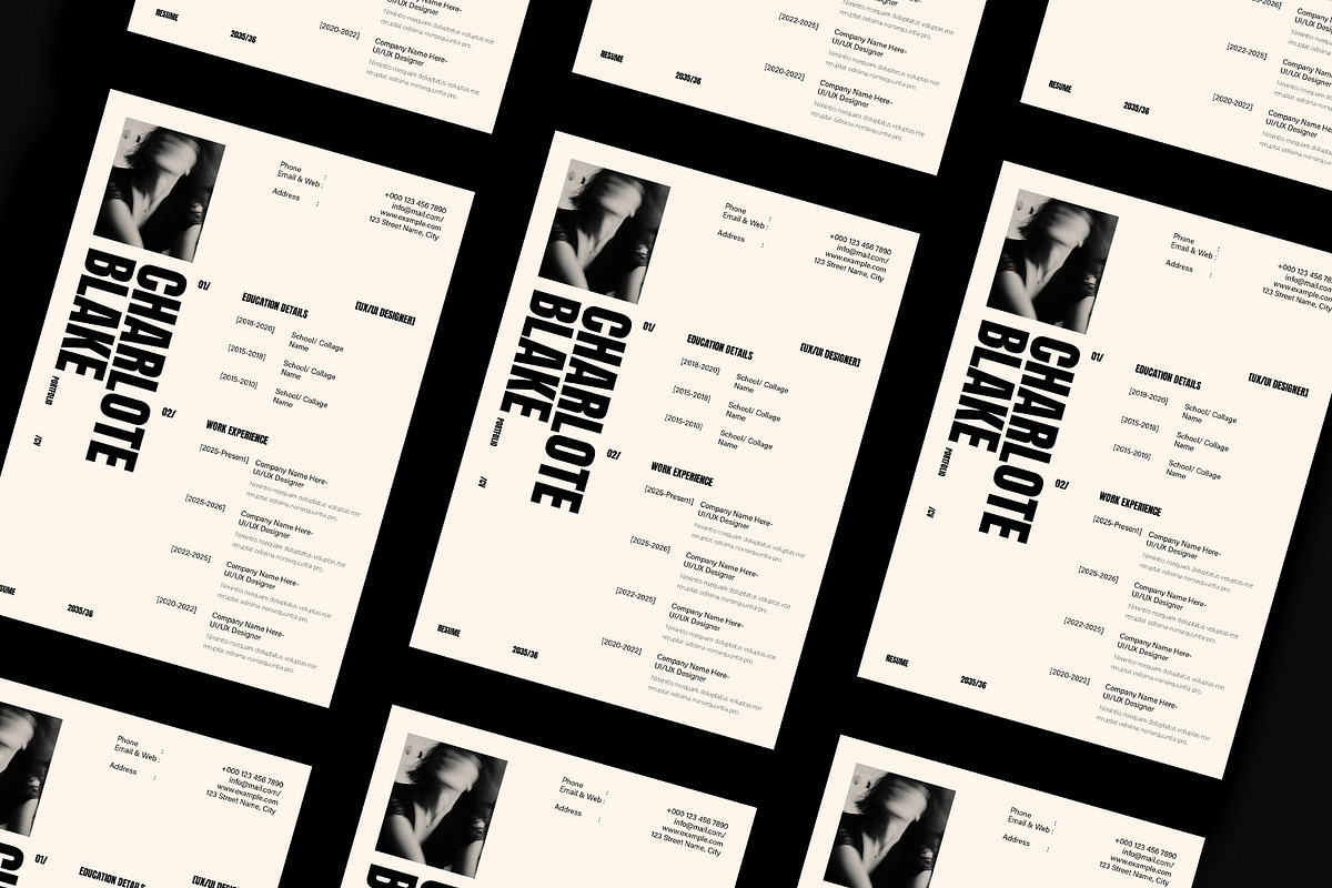 Professional CV, Resume Template, a Resume Template by DesignCrest (Photo 8 of 9)