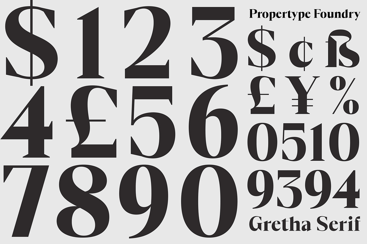 GrethaSerif, a Serif Font by Propertype (Photo 13 of 14)